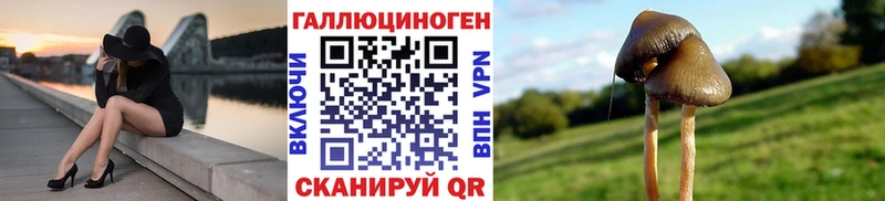 Псилоцибиновые грибы GOLDEN TEACHER  где продают наркотики  МЕГА tor  Ангарск 